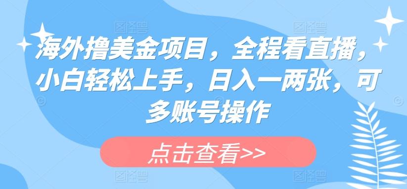 海外撸美金项目，全程看直播，小白轻松上手，日入一两张，可多账号操作【揭秘】-网创星球